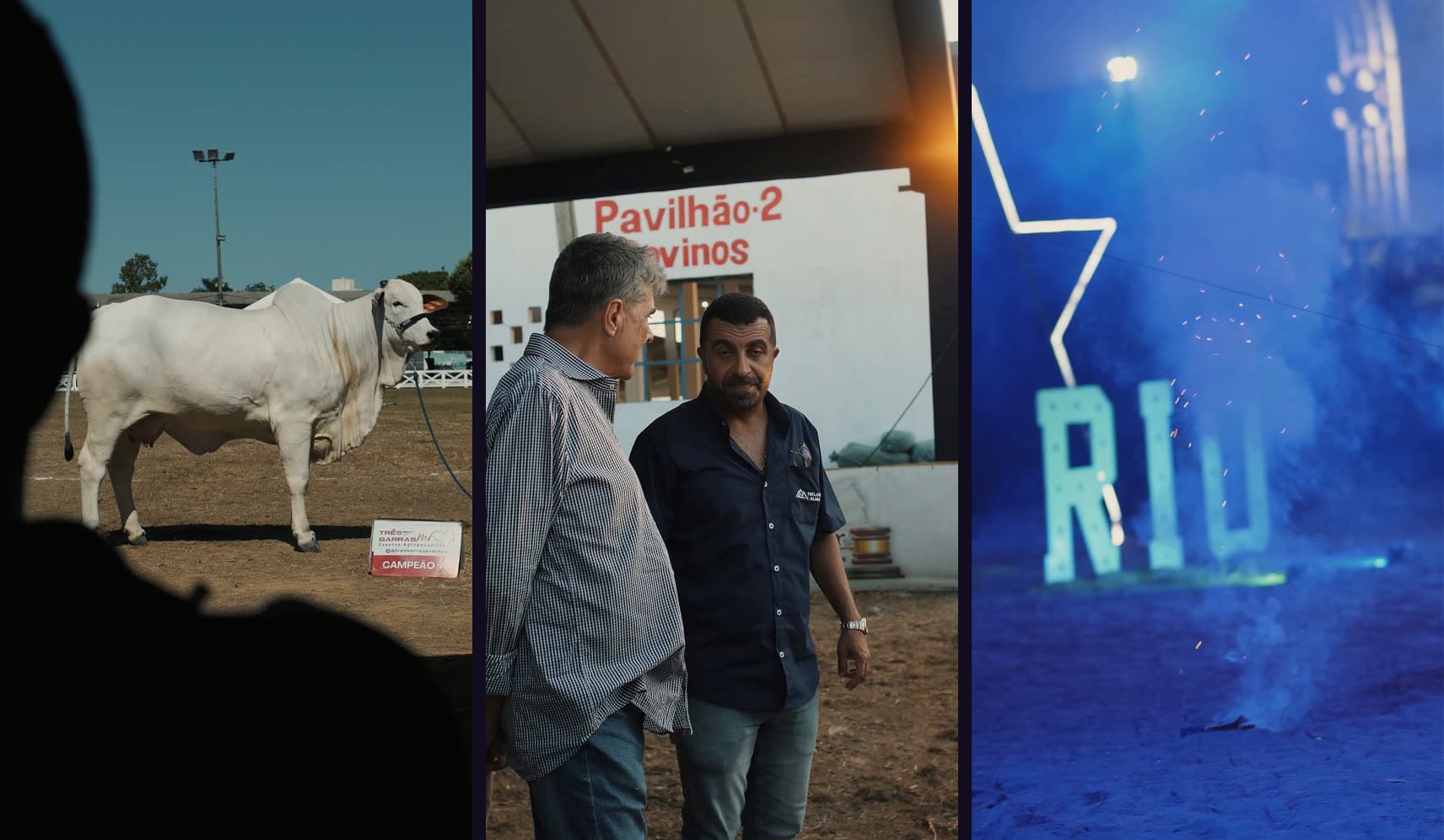 Três cenas da Expo Agropecuária de Campos lado a lado: um nelore na pista de julgamento, dois produtores diante do Pavilhão 2 e as letras iluminadas na noite do evento